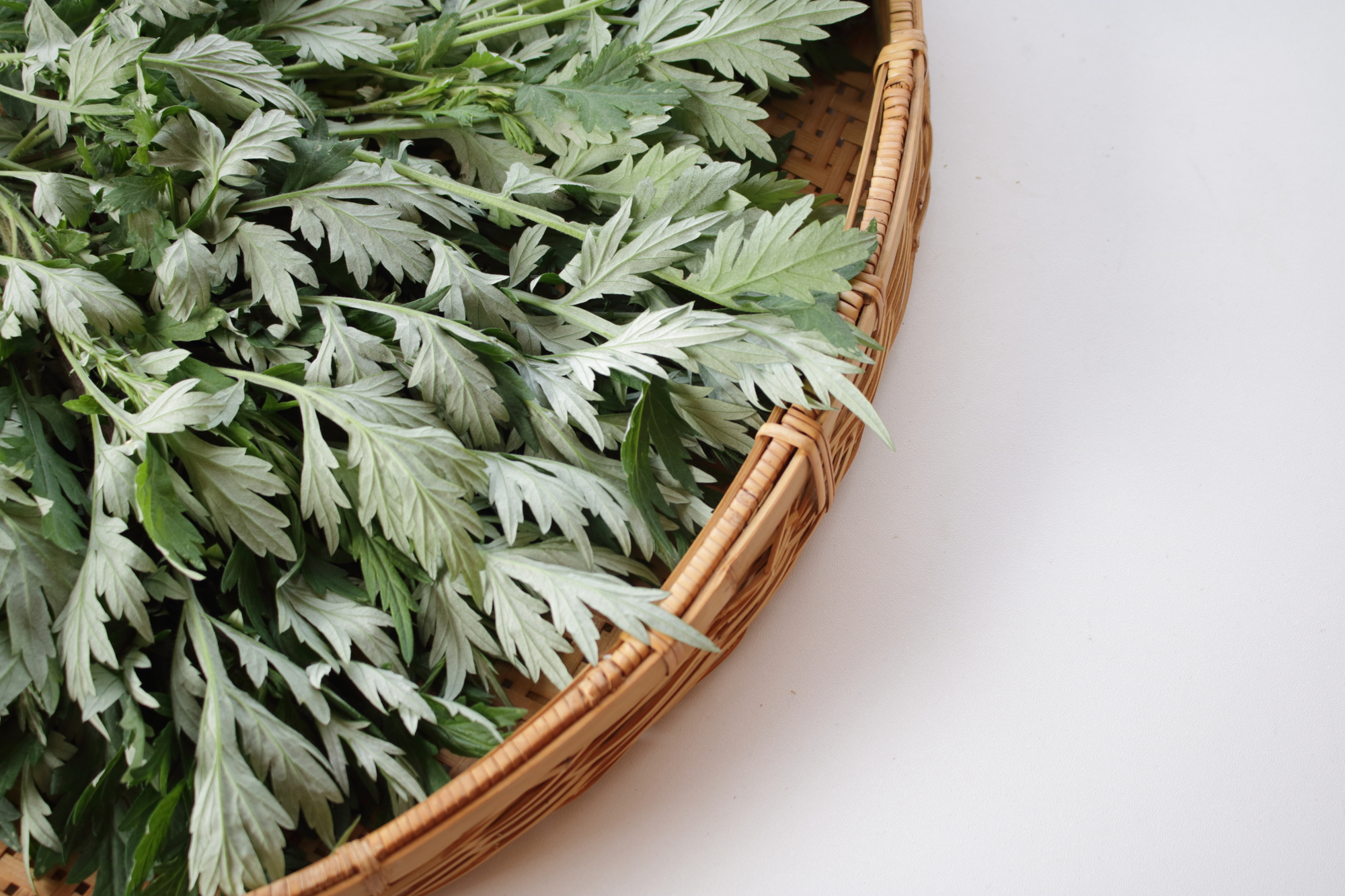 女性特有のお悩みにそっと寄り添います♪の写真